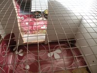 DSCN2188.JPG