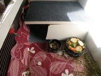 DSCN2190.JPG