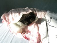 DSCN2193.JPG