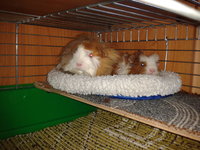 2012-10-17 12.25.12.jpg