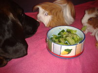 2012-10-18 20.09.26.jpg