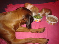 2012-10-18 20.09.46.jpg