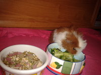 2012-10-18 20.13.03.jpg