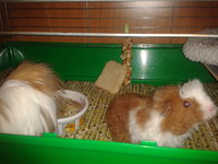 2012-10-18 20.39.50.jpg