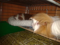 2012-10-18 20.47.40.jpg