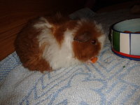 2012-10-25 16.28.07.jpg
