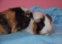 DSC_4725a.jpg