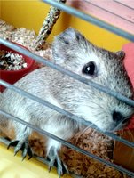 20121021_135229Kmtł.jpg