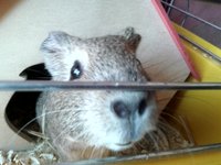 20121021_135323Wgdpj.jpg