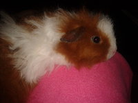 2012-11-01 20.42.03.jpg