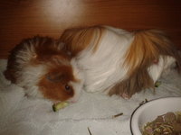 2012-11-02 17.08.46.jpg