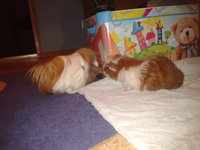 2012-11-02 17.16.07.jpg
