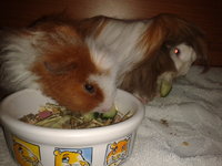 2012-11-02 17.11.43.jpg