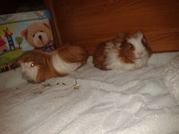 2012-11-02 17.38.36.jpg