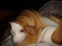 2012-10-24 20.58.17.jpg