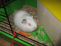 IMG_0753.JPG