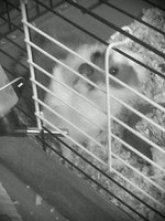 Zdjęcie0618M.jpg