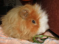 PB050074.JPG