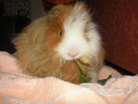 PB050075.JPG