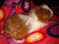 2012-11-10 20.47.23.jpg