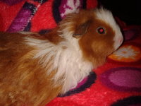 2012-11-10 20.46.22.jpg