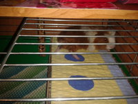 2012-11-10 21.04.36.jpg