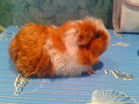 2012-11-21 20.59.40.jpg