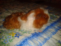 2012-11-21 21.09.37.jpg
