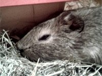 20121121_224748Tpd.jpg