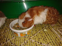2012-11-27 18.29.11.jpg