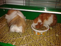 2012-11-27 18.30.02.jpg