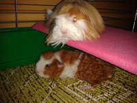 2012-11-27 19.22.18.jpg
