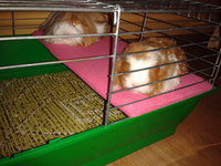 2012-11-27 19.23.17.jpg