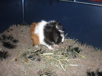 PC050023.JPG