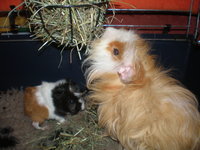 PC050014.JPG