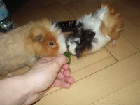 PC300007.JPG