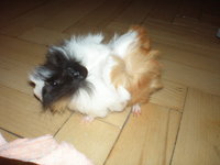PC300008.JPG