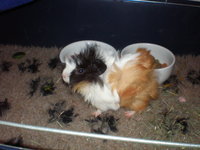 PC300032.JPG