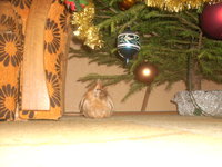 IMG_0019.JPG