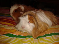 2013-01-02 19.47.19.jpg