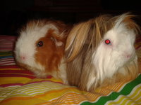 2013-01-02 19.47.47.jpg