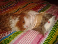 2013-01-02 19.56.06.jpg