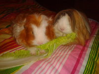 2013-01-02 20.03.54.jpg