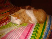 2013-01-02 20.05.44.jpg