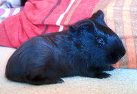 Milion.jpg (16.44 KiB) Przejrzano 4297 razy Milion.jpg