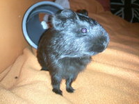 IMG170.jpg