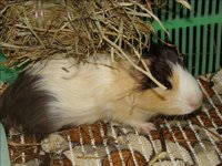 DSC08771.jpg
