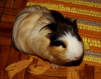 DSC08851.jpg
