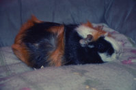 DSC_7897a.jpg