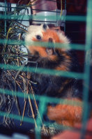 DSC_7871a.jpg